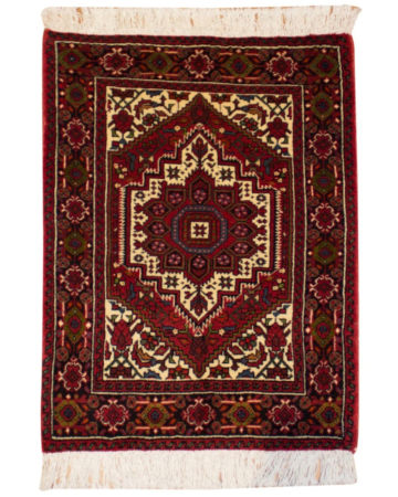 Goltog Wool Hand Knotted Persian Rug