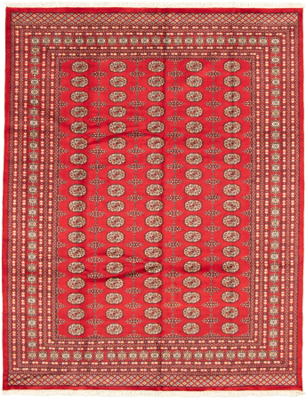 Bokhara Hand Knotted Rug 8'2