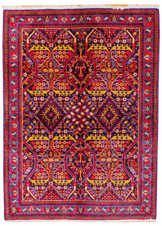 Jozan Wool Hand Knotted Persian Rug