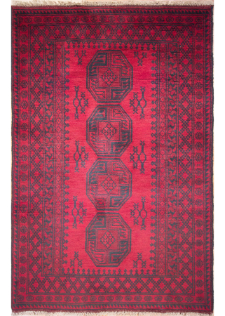 Agcha Hand Knotted Rug 3'10