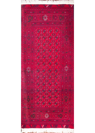 Torkman Wool Hand Knotted Persian Rug