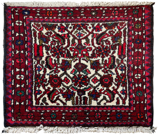 Hamadan Wool Hand Knotted Persian Rug