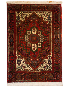 Goltog Hand Knotted Rug 1'9" x 2'10"