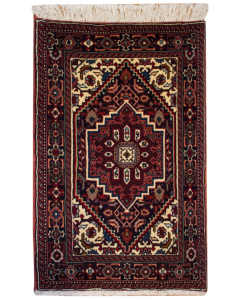 Goltog Hand Knotted Rug 1'9" x 2'8"