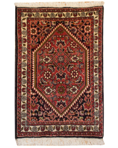 Goltog Wool Hand Knotted Persian Rug