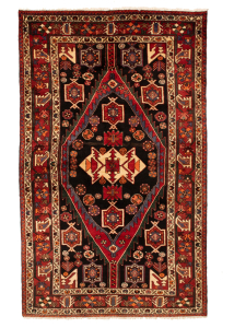 Hamadan Hand Knotted Persian Rug