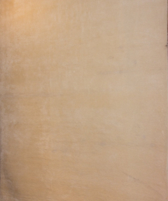 Plain Tufted Ivory Hand Knotted Rug 7'0" x 9'0"