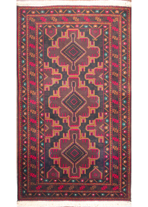 Baluch Hand Knotted Rug 2'11" x 5'2"