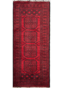 Agcha Hand Knotted Runner Rug 2'6" x 6'1"