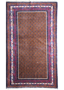 Baluch Hand Knotted Rug 3'11" x 6'9"