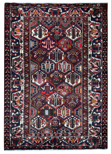 Bakhtiari Semi-Antique Fields Red Wool Hand Knotted Persian Rug