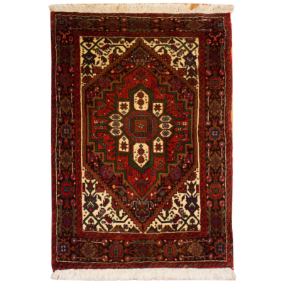 Goltog Hand Knotted Rug 1'9
