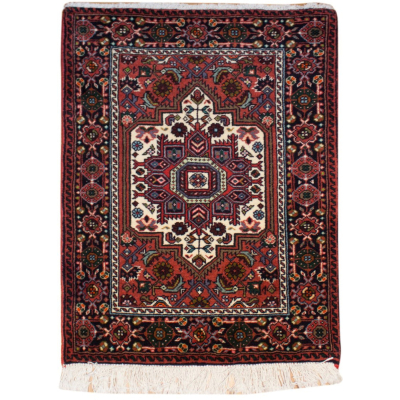 Goltog Hand Knotted Rug 1'9