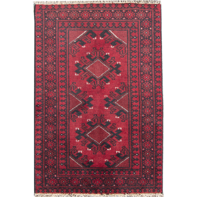 Agcha Hand Knotted Rug 2'7